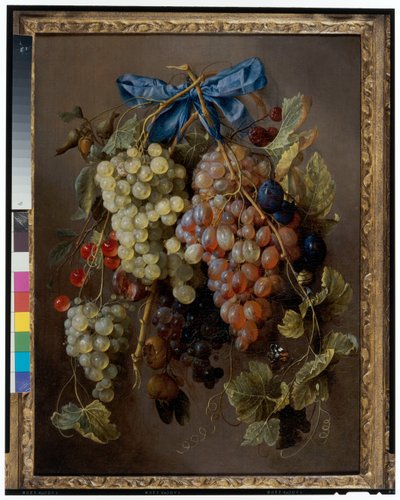 Still Life of Grapes, Cherries and Plums Hanging from a Nail with a Blue Ribbon by Cornelis de Heem