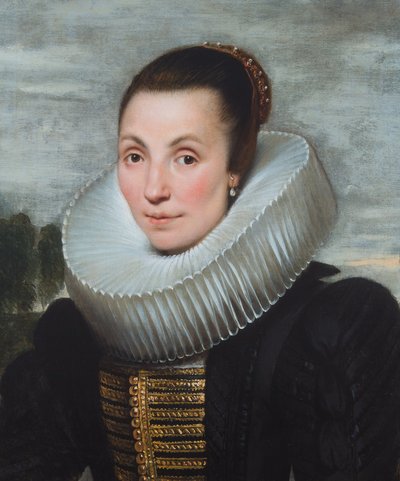 Portrait of a Lady by Cornelis de Vos