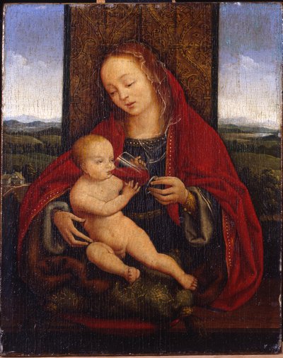 The Madonna and Child Enthroned by Cornelis van Cleve