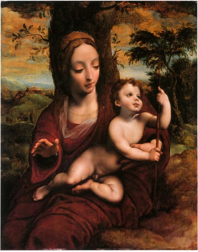 The Madonna and Child in a Landscape by Cornelis van Cleve