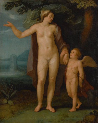 Venus and Cupid in a Landscape by Cornelis van Haarlem