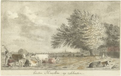 Cows in a Meadow by Cornelis van Noorde