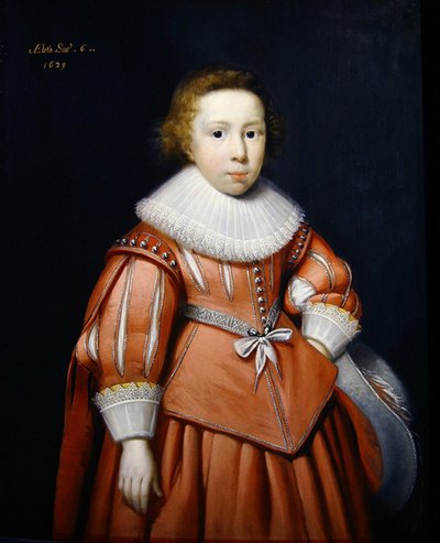 Portrait of a Young Boy by Cornelius Janssen van Ceulen