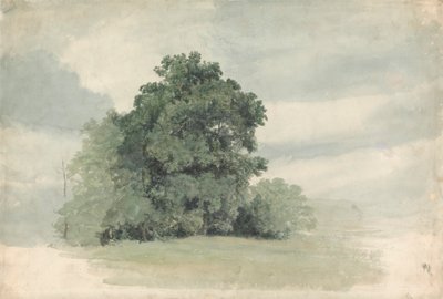 Study of Trees at the Edge of a Field by Cornelius Varley