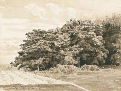 Wrottesley Hall - The Shrubbery, 1820 by Cornelius Varley
