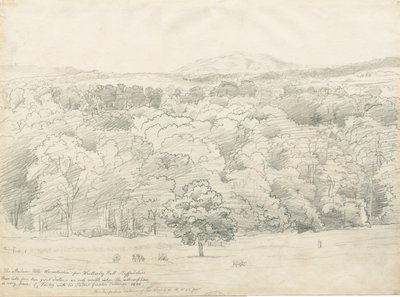 Wrottesley Hall - View of Malvern Hills by Cornelius Varley