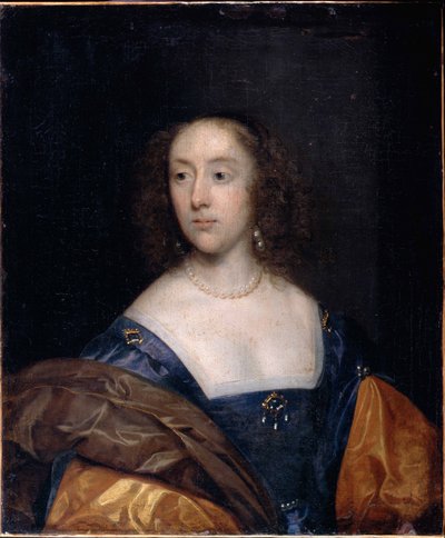 Portrait of a Lady in Blue by Cornelius the elder Johnson