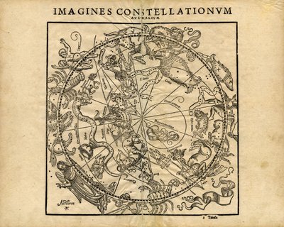 Southern Celestial Planisphere by Coronensis & Petri Heinrich Honter
