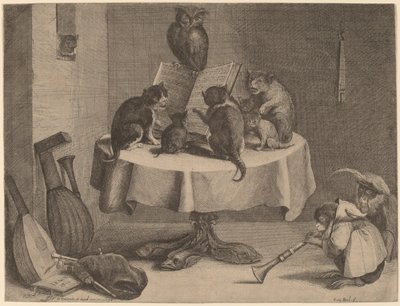 The Cat