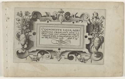 Title Page and Eleven Prints of Flowers, Plants, and Fruit by Crispijn van de Passe (I) (attributed to)