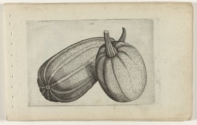 Two Melons (Cognoscite Lilia) by Crispijn van de Passe (I) (attributed to)