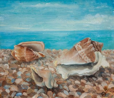 Three Shells by Cristiana Angelini