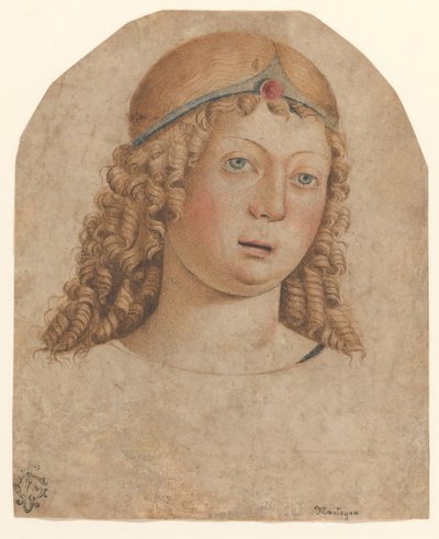 Head of a Youth with a Diadem, late 15th-early 16th century by Cristoforo Caselli
