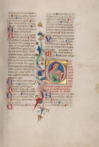 Initial Q: Bust Portrait of a Bearded Man by Cristoforo Cortese
