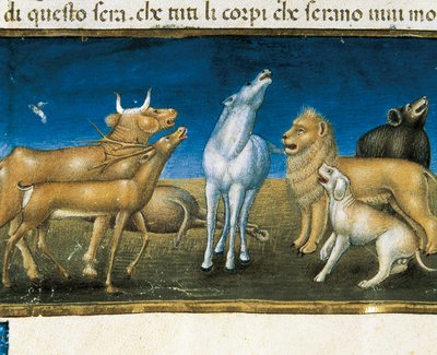 Stars will fall from the sky before the eyes of animals (miniature) Miniature by Cristoforo De Predis (1440-1486) by Cristoforo De Predis