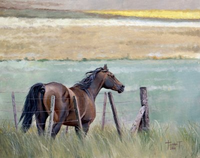 Dreams of Freedom by Cruz Jurado Traverso