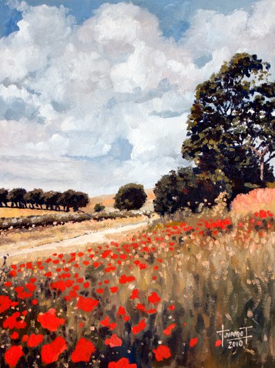 Wild Poppies, Hertfordshire by Cruz Jurado Traverso