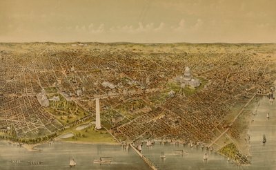 City of Washington (Bird