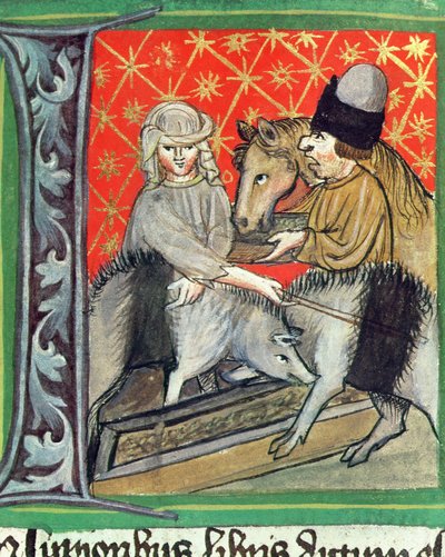 Breeding Pigs and Horses, from Opus Ruralium Commodorum by Pietro de Crescenzi by Czech School