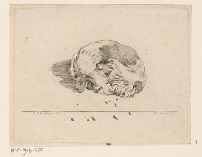 Sleeping Puppy by D. Merrem