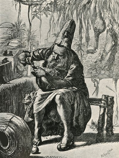 The Dervise Plucks the Hairs from the Cat