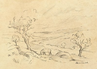 Dartmoor Pony by Dan Hobday