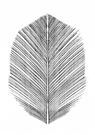 Feather by Dan Hobday