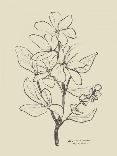 Floral 1 by Dan Hobday