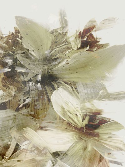 Hill Flowers 2 by Dan Hobday