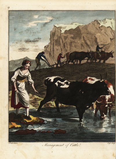 Dairy Maid and Farmers with Cattle by Daniel (after) Dodd