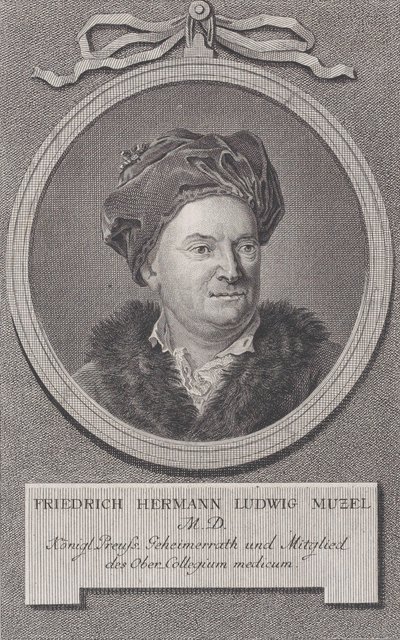 Portrait of Friedrich Ludwig Hermann Muzel by Daniel Berger