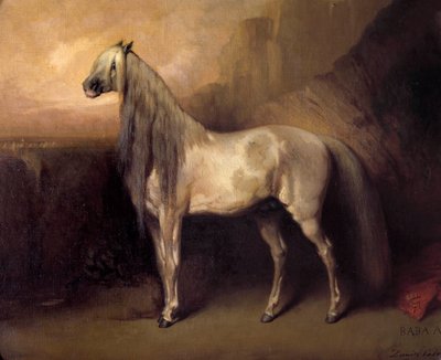 Baba Ali, Arab Horse by General Henri d