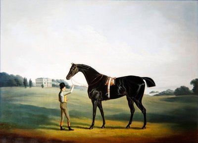 A horse and groom in the grounds of Hooton Hall, Cheshire by Daniel Clowes