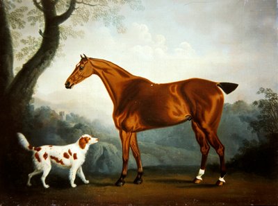 Bay hunter and spaniel in a wooded landscape by Daniel Clowes
