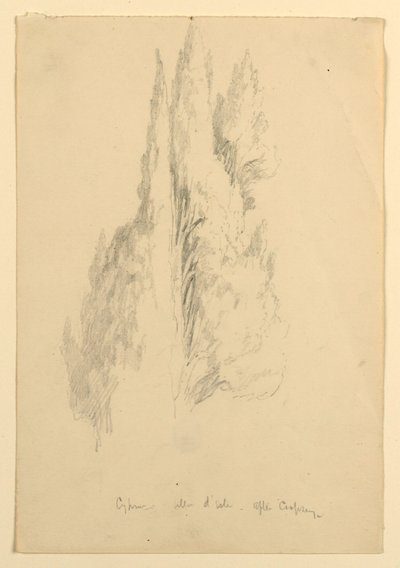 Cypress, Villa d