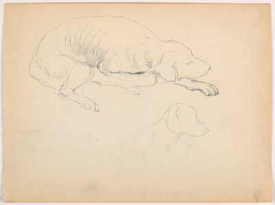 Milo (a Pointer), Two Studies, ca. 1862 by Daniel Huntington