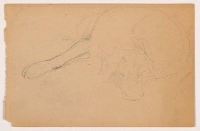 Miol (a Pointer), ca. 1862 by Daniel Huntington