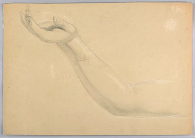 Study for Duplicate of 