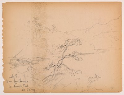 Drive from Chocorua to Knowles Pond by Daniel Huntington