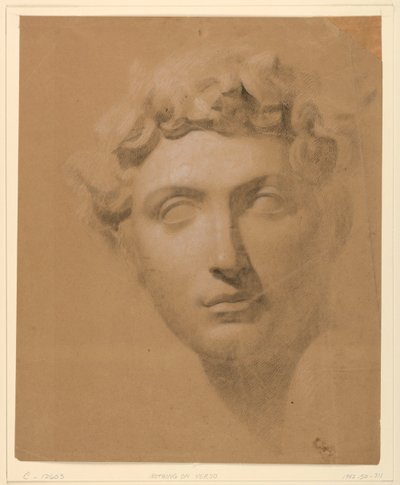 Male Head From a Plaster Cast by Daniel Huntington