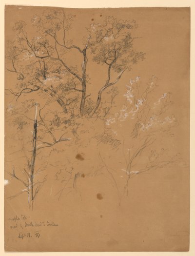 Maple Top on Road to Jackson, New Hampshire by Daniel Huntington