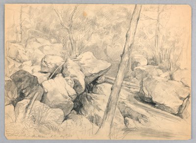 Near Falls of Wildcat Brook, Jackson, New Hampshire by Daniel Huntington