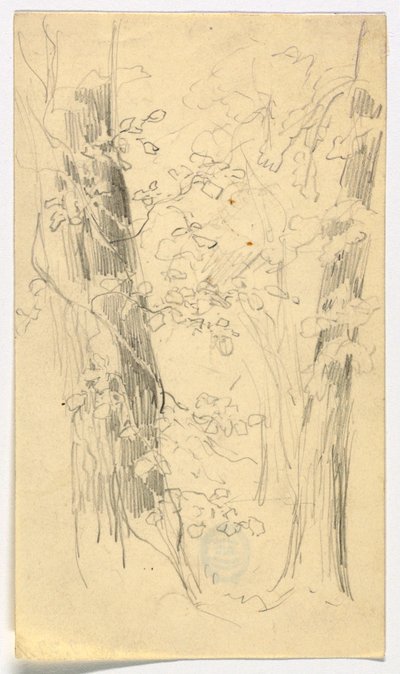 Sketch of Trees by Daniel Huntington