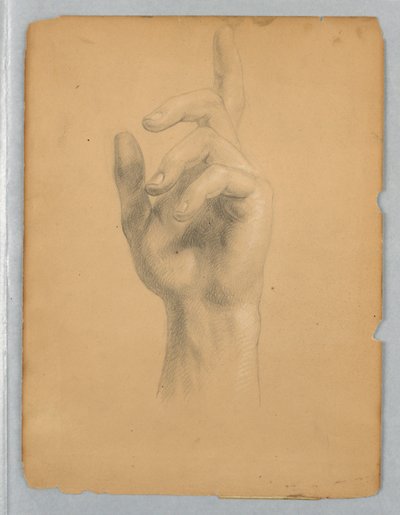 Study of Angel