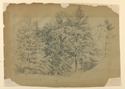 Study of Trees, North Conway, New Hampshire by Daniel Huntington
