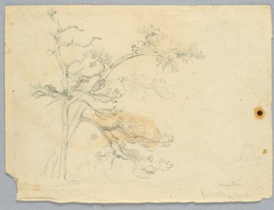 Study of Two Pines, Catskill Mountains by Daniel Huntington