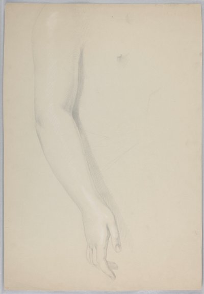 Study of an Arm for 