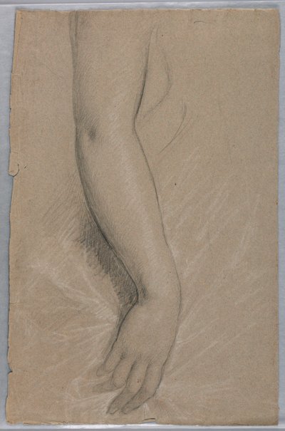 Study of an Arm for Portrait of Mrs. Rutherford B. Hayes by Daniel Huntington