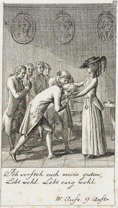 Plate 10 for Schiller