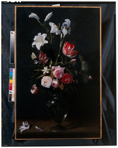 Swags of Roses, Tulips, Daffodils and other Flowers Suspended from Blue Ribbons by Daniel Seghers